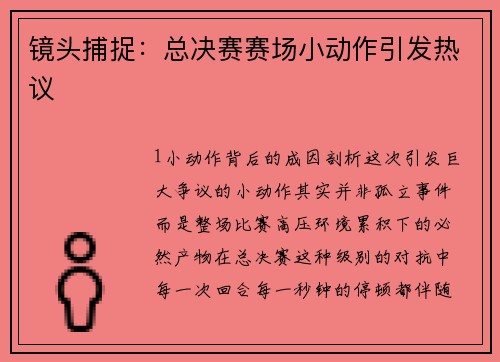 镜头捕捉：总决赛赛场小动作引发热议